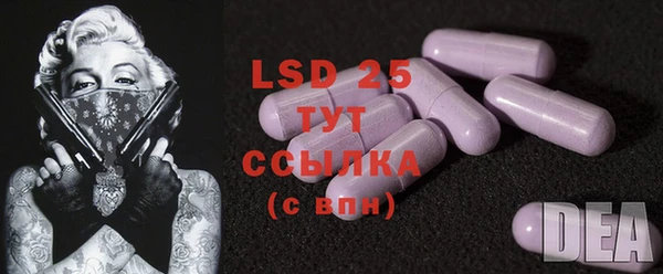 ECSTASY Кукмор