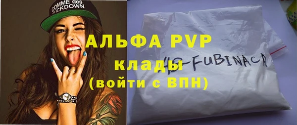 ECSTASY Кукмор