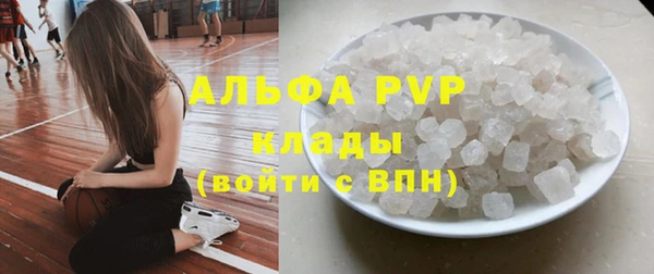 ECSTASY Кукмор