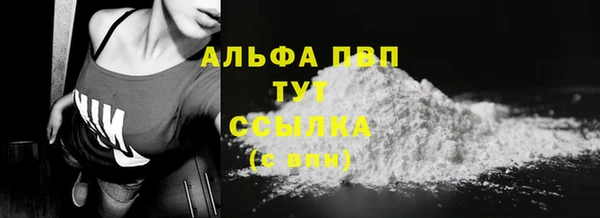 ECSTASY Кукмор