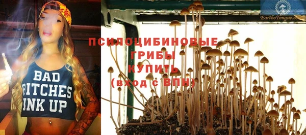 ECSTASY Кукмор
