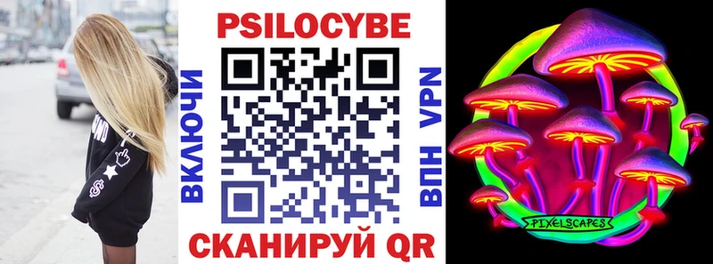 Купить Бабаево Галлюциногенные грибы Psilocybe