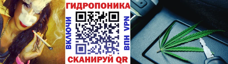 Бошки Шишки конопля  Купить  Бабаево 